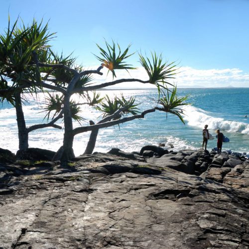 noosa-sunshine-coast-116