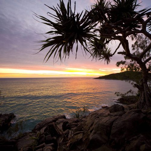 noosa-sunshine-coast-118